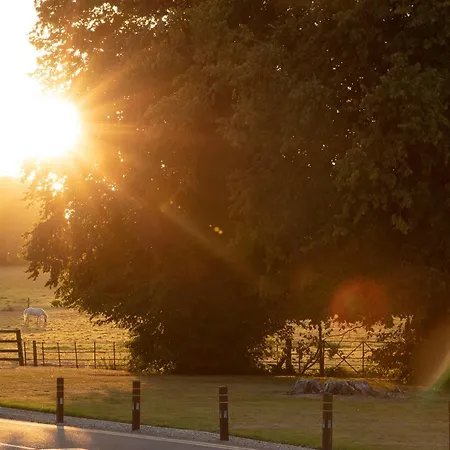 فندق Castlemartyr Resort Hotel كاستلمارتير