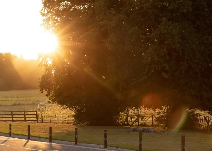 Отель Castlemartyr Resort Hotel Каслмартир