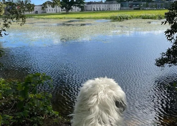 Castlemartyr Resort Hotel